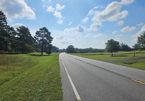 628-11 State Highway 176, Pomaria, South Carolina, ,Land,For sale,628-11 State Highway 176,1058